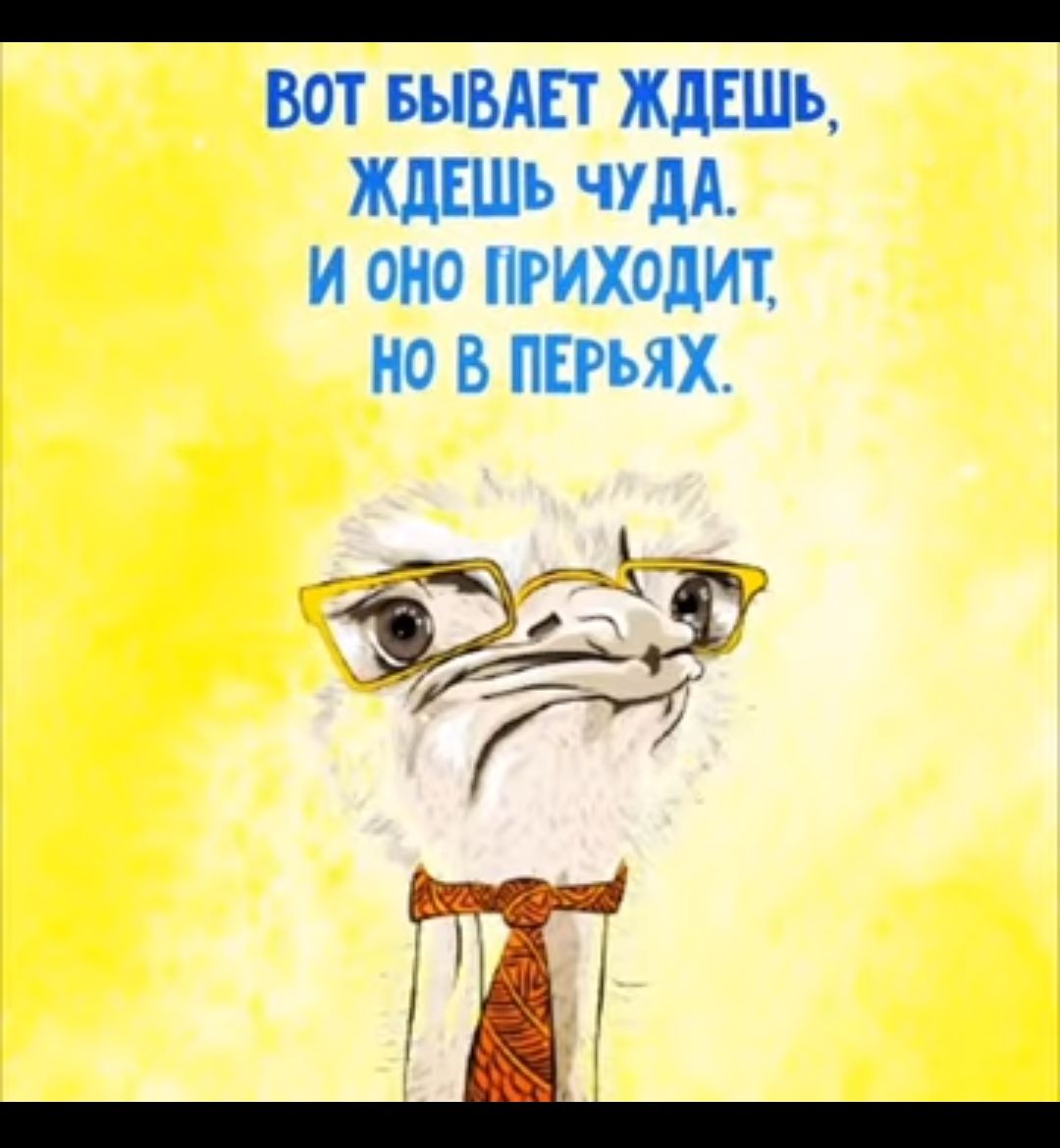 вот БЫВАЕТ ждіШь ждгшь ЧУМ и ОНО ПРИХОДИТ но В тих