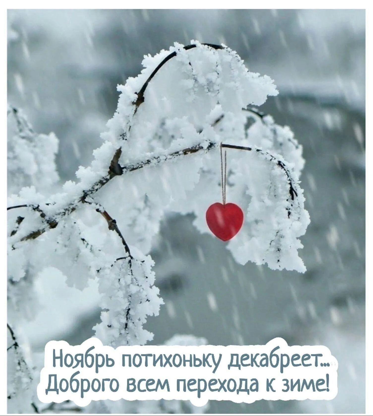 Просто будь снежным. Сердце на снегу. Зимнее сердце. Зимняя романтика. Нежность зимой.
