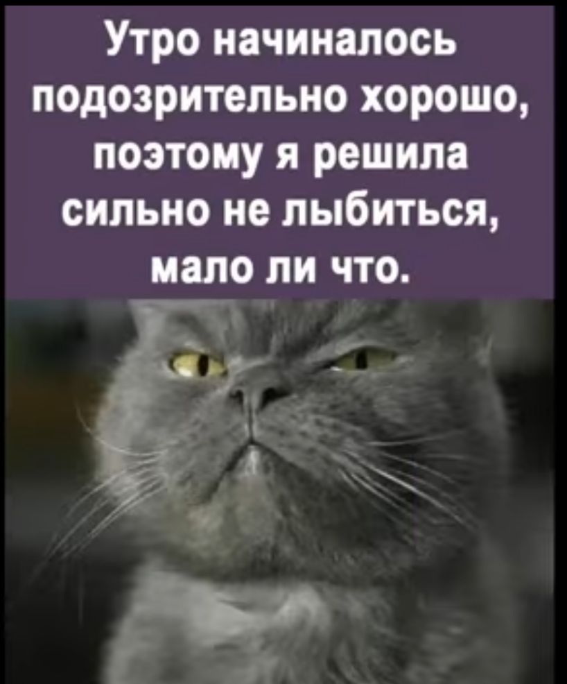 Утро начиналось подозрительно хорошо поэтому я решила сильно не лыбиться мало ли что