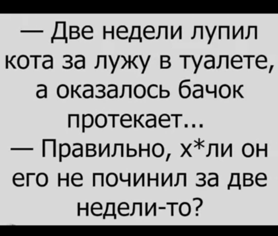 _ Две недели лупил кота за лужу в туалете а оказалось бачок протекает Правильно хпи он его не починил за две недели то _