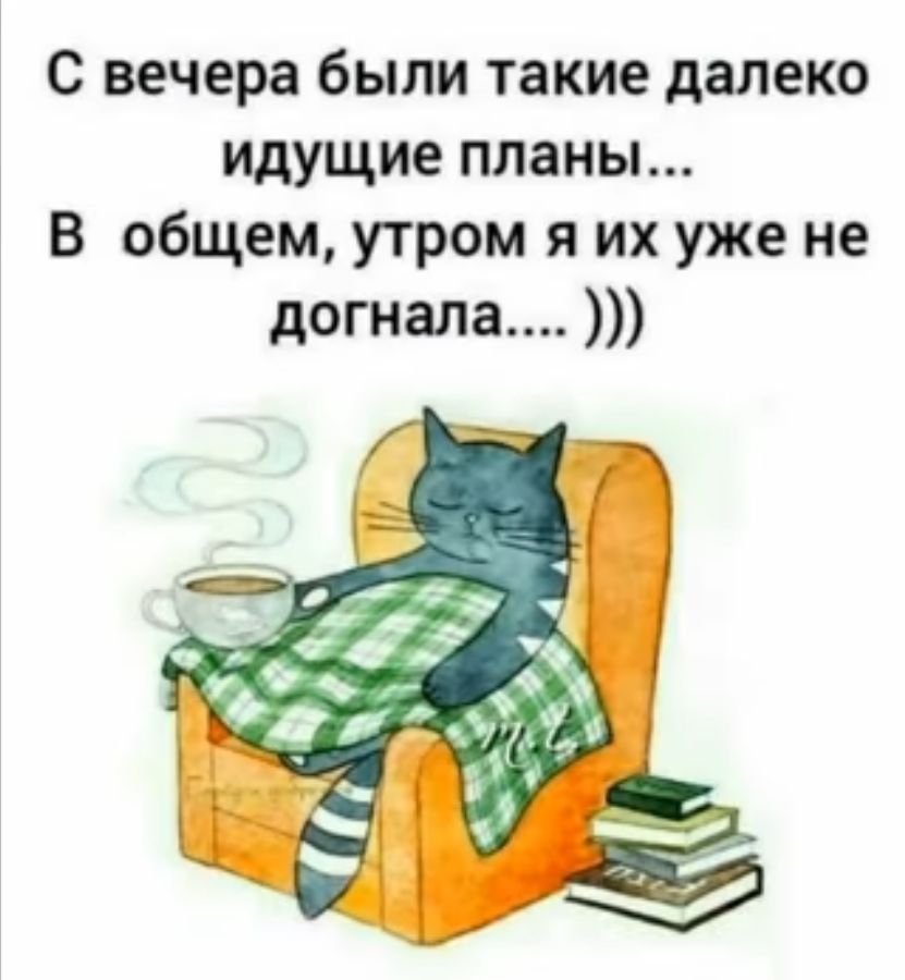 с вечера были такие далеко идущие планы В общем утром я их уже не догнала