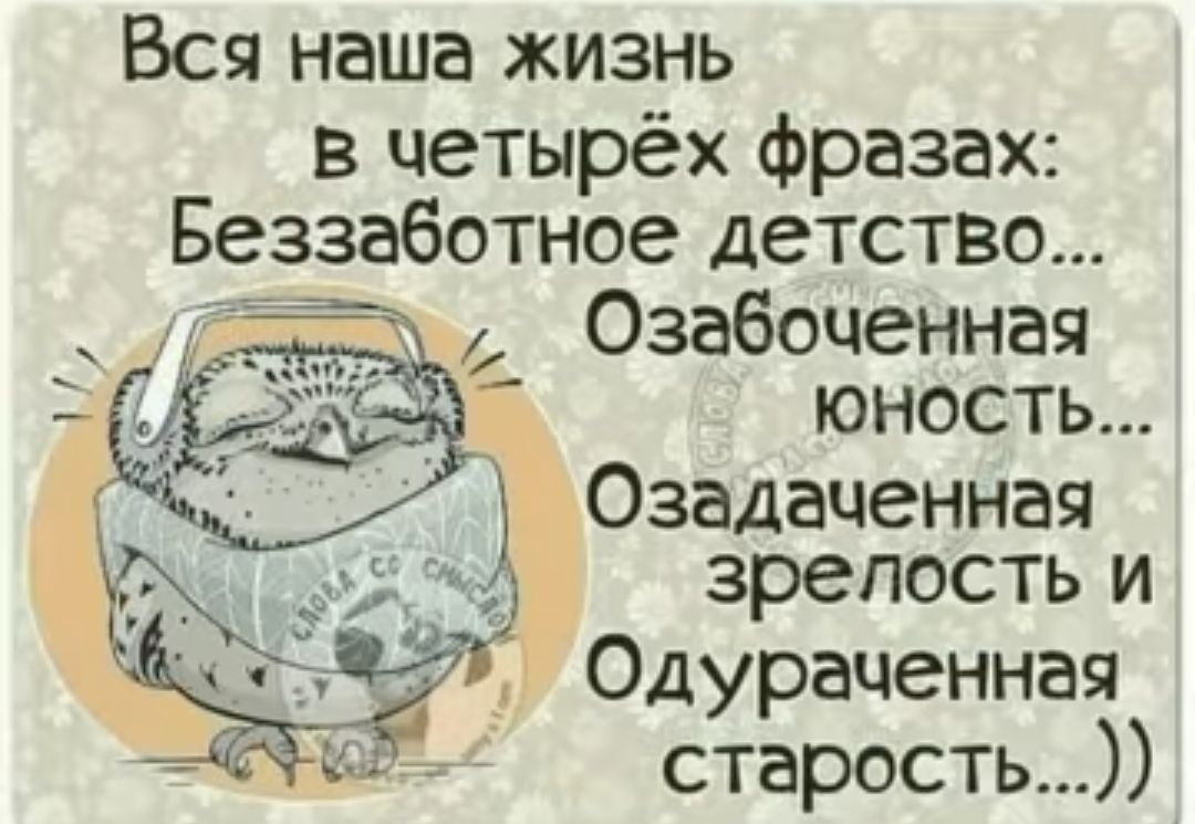 Вся наша жизнь в четырёх фразах Беззаботное детство Озабоченная юность Озадаченная зрелость и Одураченная старость