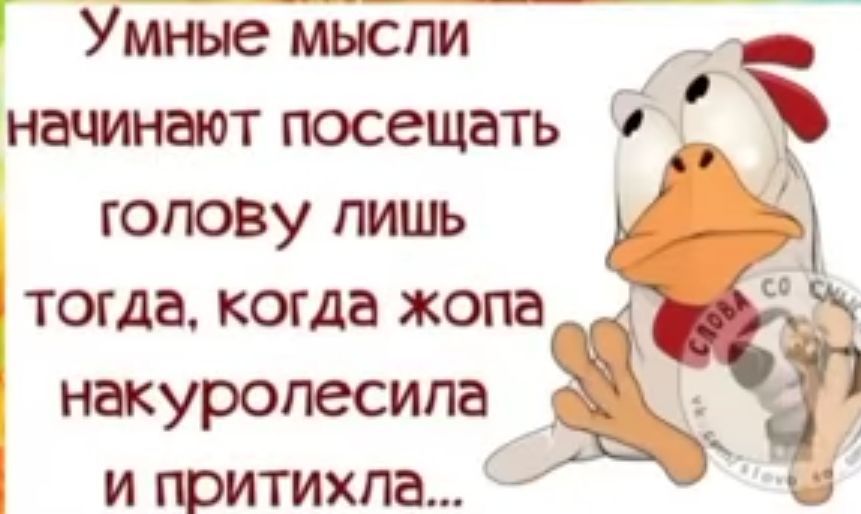 Г УмНыеМЫЕпи _ начинают посещать голову лишь тогда когда жопа накуропесипаЖ о и притихпа