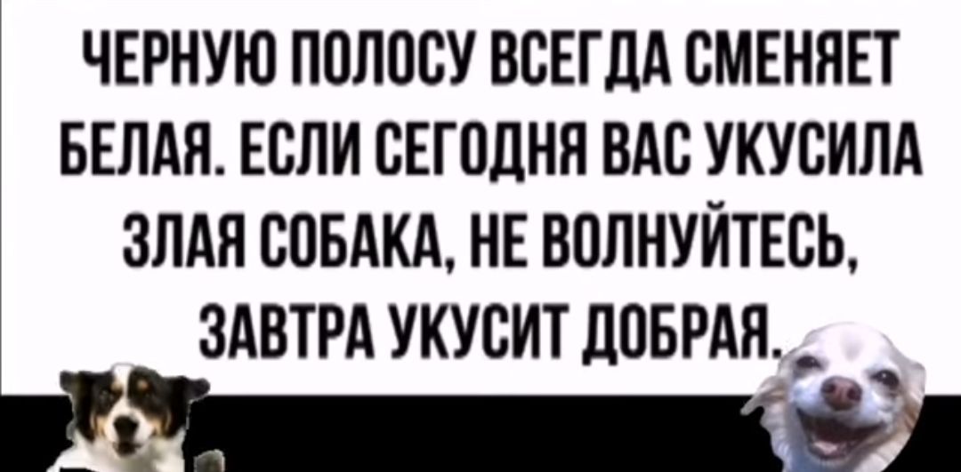 ЧЕРНУЮ ПСЛССУ ВСЕГДА СМЕННЕТ БЕЛАЯ ЕСЛИ СЕГОДНЯ ВАС УКУСИЛА ЗЛАЯ СОБАКА НЕ ВПЛНУЙТЕСЬ ЗАВТРА УКУСИТ ЦПБРАЖ За