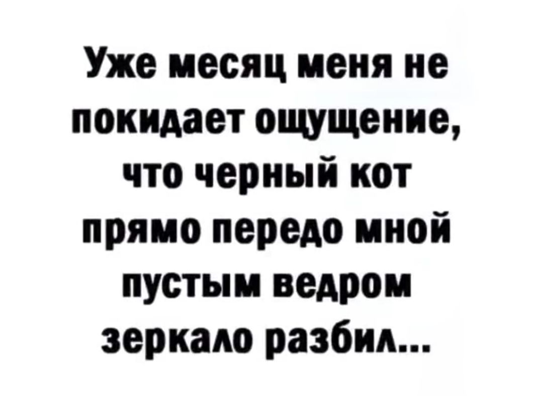 Уже месяц меня не покидает ощущение что черный кот прямо передо мной пустым ведром зеркало разбил