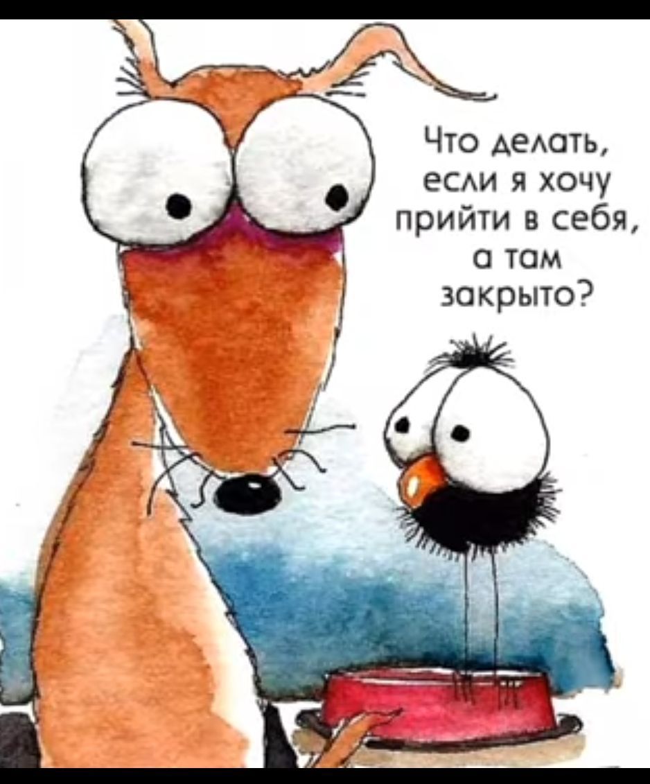 Что АЕАОТЬ еси я хочу прийти в себя о том закрыто г