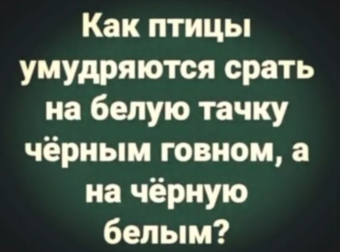 Как птицы умудряются срать на белую тачку чёрным говном а на чёрную белым