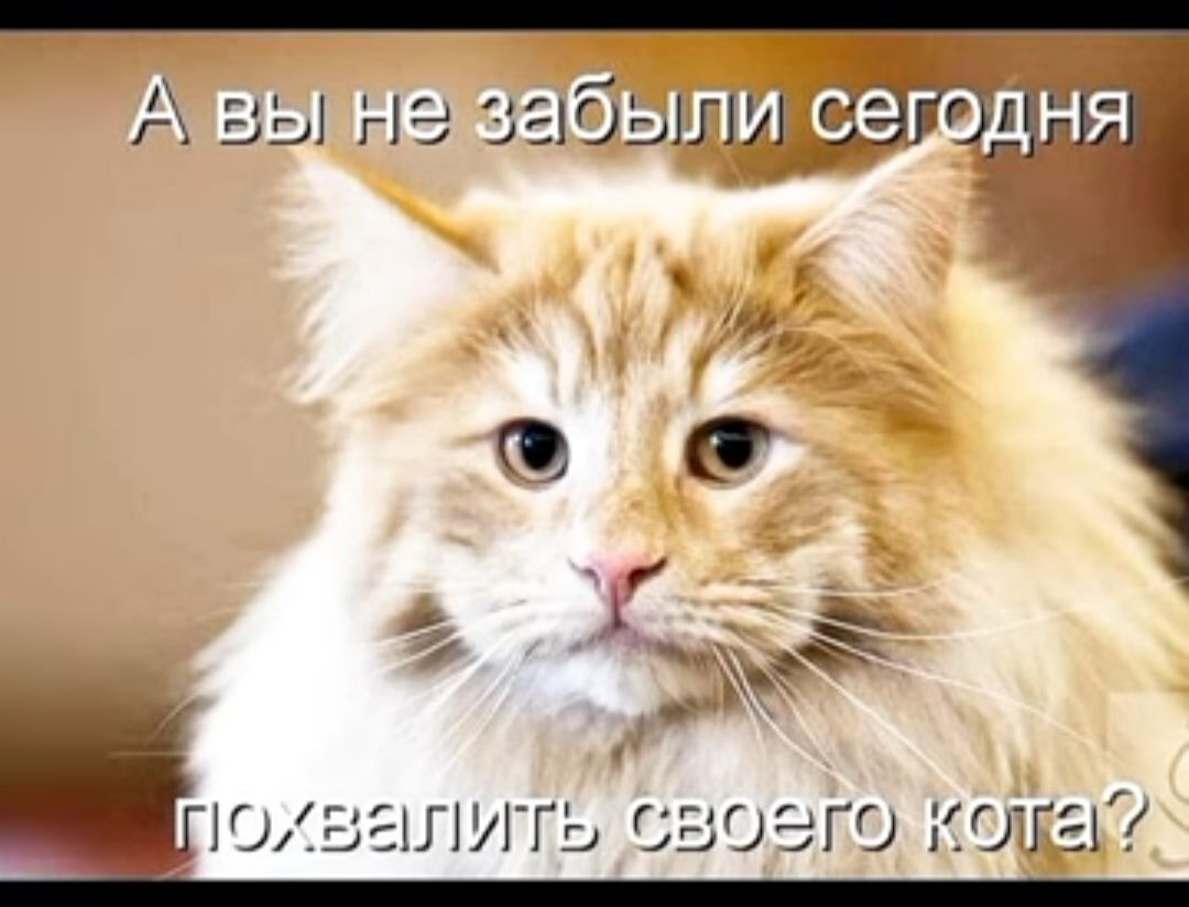 лВеПнелзабыли сегодня 7 ра Е ъ ___ ЮЗ ЛУГГЬ своЭге колрау