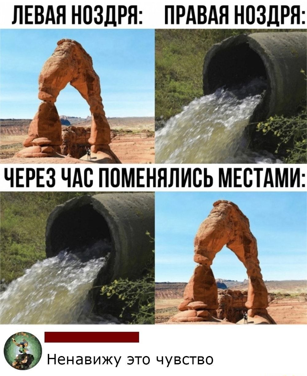 ЛЕВАП НОЗДРЯ ПРАВАЯ НПЗЛРЯ Ненавижу это чувство