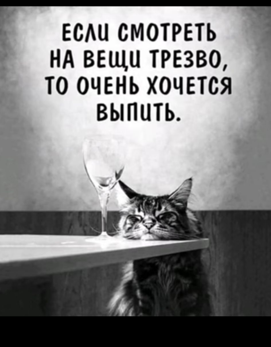 всдисмотреть НА ВЕЩЦ ТРЕЗВО ТО ОЧЕНЬ ХОЧЕТСЯ ВЫПЦТЬ
