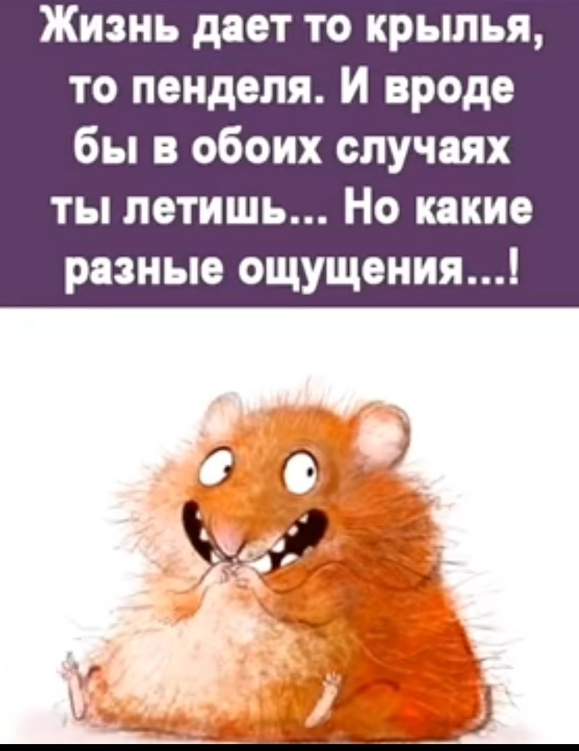 Жизнь дает то крьшья то пенделя И вроде бы в обоих случаях ты летишь Но какие разные ощущения