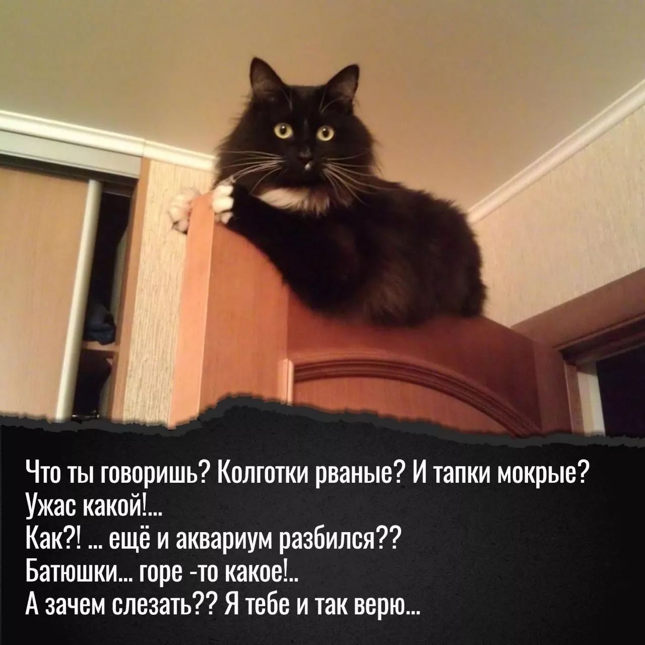 Что ты творить Кплшпм рваные И ППШ мпкрыв Ужас какой Как ещё и аквариум разбился Бшюшкш горн тп какое А зачвм сдавать Я твбн и ни верю