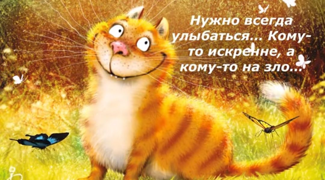 д ужио кет а улыбаться Каму т искрейие а капу п на зло