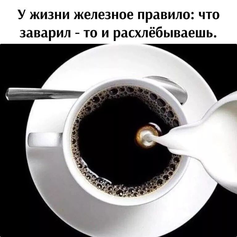 У жизни железное правило что заварип то и расхлёбываешь
