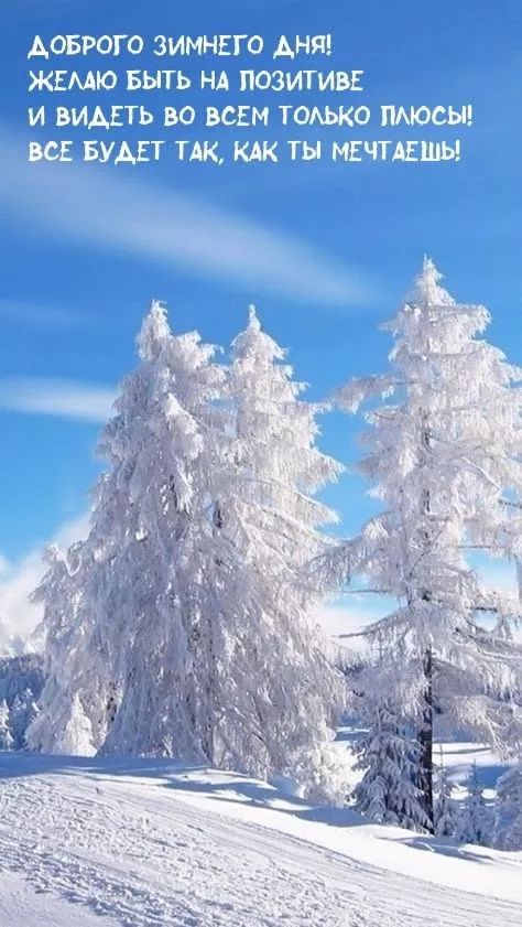 ДОБРОГО ЗИМН ЖЕМЮ БЫТЬ И ВИДЕТЬ