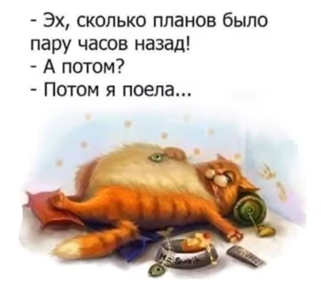 Эх сколько планов было пару часов назад А потом Потом я поела