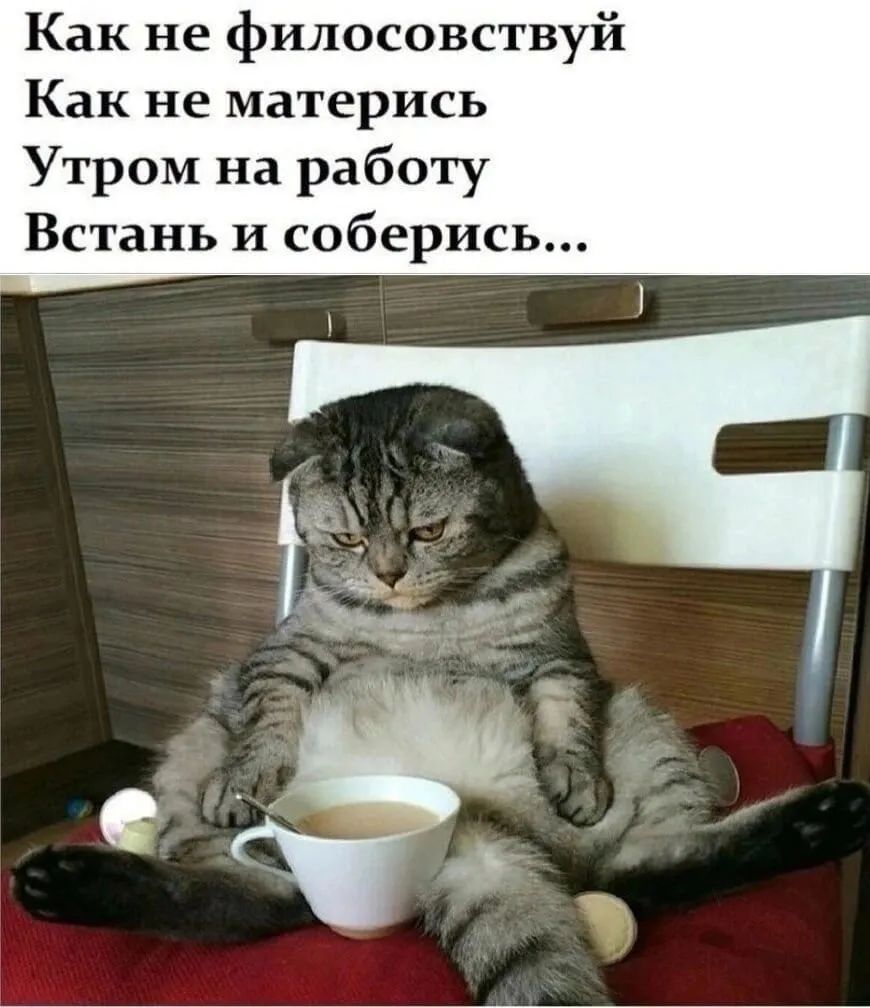 Как не филосовст у Как не матерись Утром на работу Встань и соберись