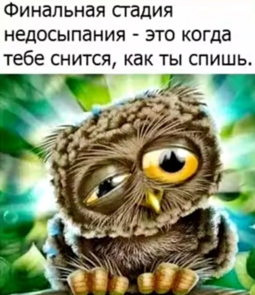 Финальная сгадия недосыпания это когда тебе снится как ты спишь