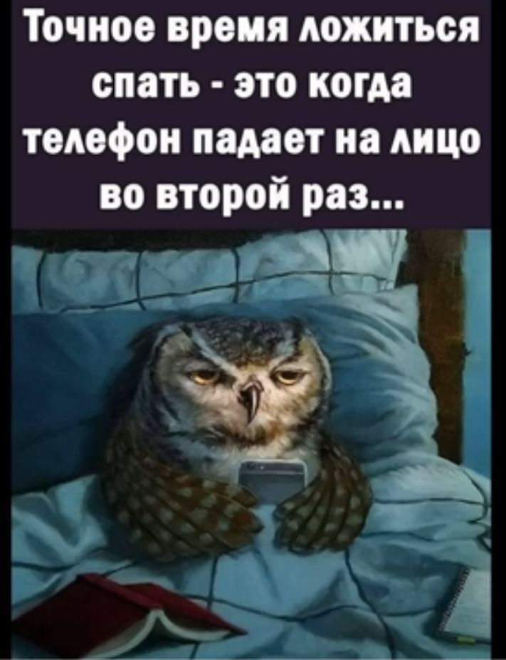 Точное время ложиться спать это когда толофои падает на лицо во второй раз