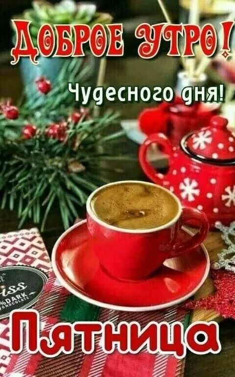 Ёеіёіщ ЁЁЧуёесного он я 309