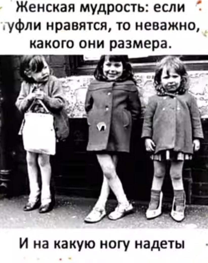 Женская мудрость если уфли нравятся то неважно КЗ КОГО ОНИ размера И на какую ногу надеты