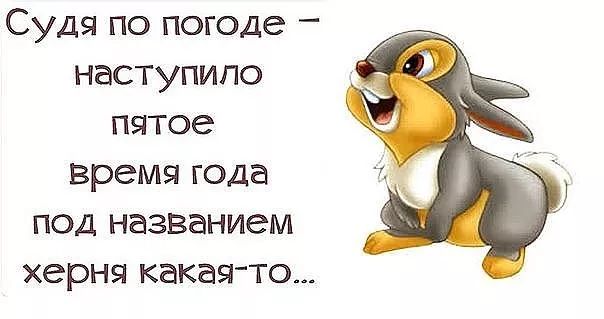 Судя по погоде наступило пятое время года под названием херня какая то