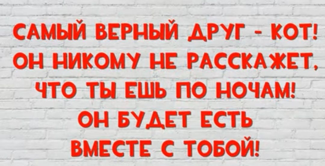 _ ая слмый всеный дРуг от ОН НИКОМУ НЕ РАССКАЖЕТ оЕ н ЧТО ТЫ ЕШЬ ПО НОЧАМ _ ы 7