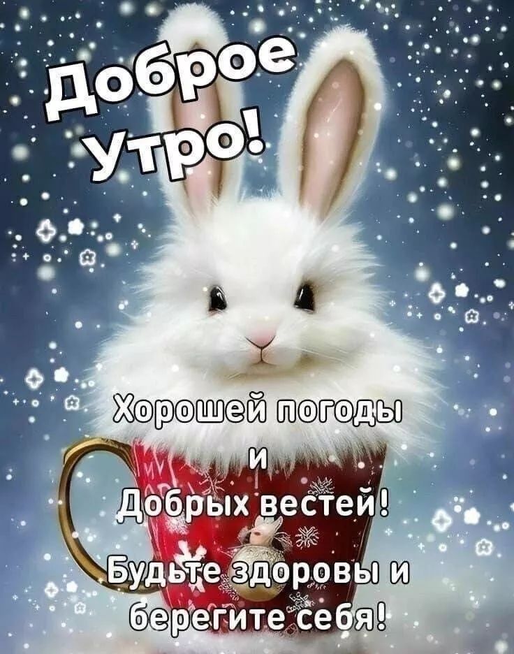 ий у и _ м агарыёдіітеи БудЁЁегзЁЁоровы Х Юрыите се