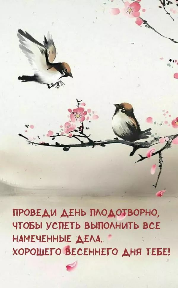 правим цін _ чтовы усппь вытащит НАМЕЧЕННЫЕ АЕМ хорошвго ввсгннвго дня ивы