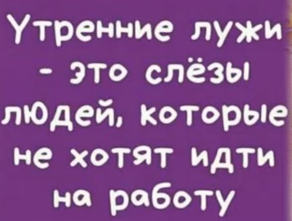 Утренние лужи это слёзы пЮдей которые не хотят идти на работу