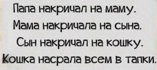 Папа накрицап на маму Мама накричапа на сына Сын накричап на кошку Кошка насрапа всем в тапки