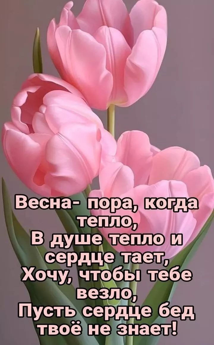 сердьЁе 15ает Хочу чтобы тебе везпо Пустьддіердпзе бед твое не Ёзнает