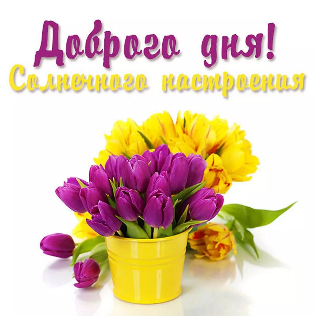 Дубрава ция