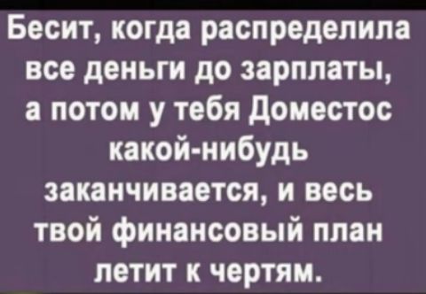 Бесит когда распределила все деньги до зарплаты а потом у тебя доместос какой нибудь заканчивается и весь твой финансовый план летит к чертям