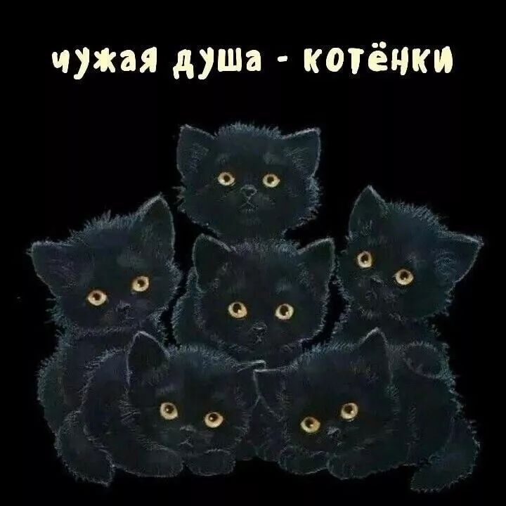 чужая душа когёнки