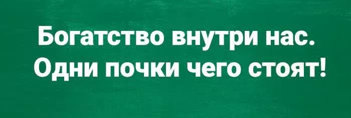 Богатство внутри нас Одни почки чего стоят