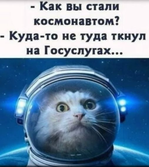 Как вы стали космонавтом Куда то не туда ткнул на Госуспугах