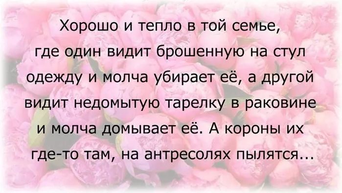 Хорошо и тепло в той семье где один видит брошенную на стул одежду и молча убирает её а другой видит недомытую тарелку в раковине и молча домывает её А короны их гдето там на антресолях пылятся