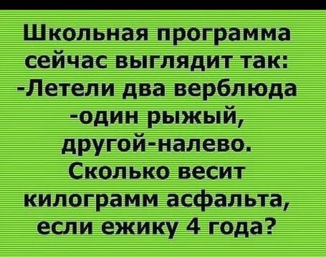 Школьная программа сейчас выглядит так Летели два верблюда один рыжый другой налево Сколько весит килограмм асфальта если ежику 4 года