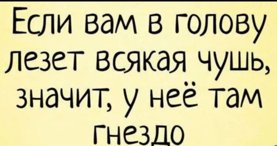 Если вам в голову Лезет всякая чушь значит у неё там гнездо
