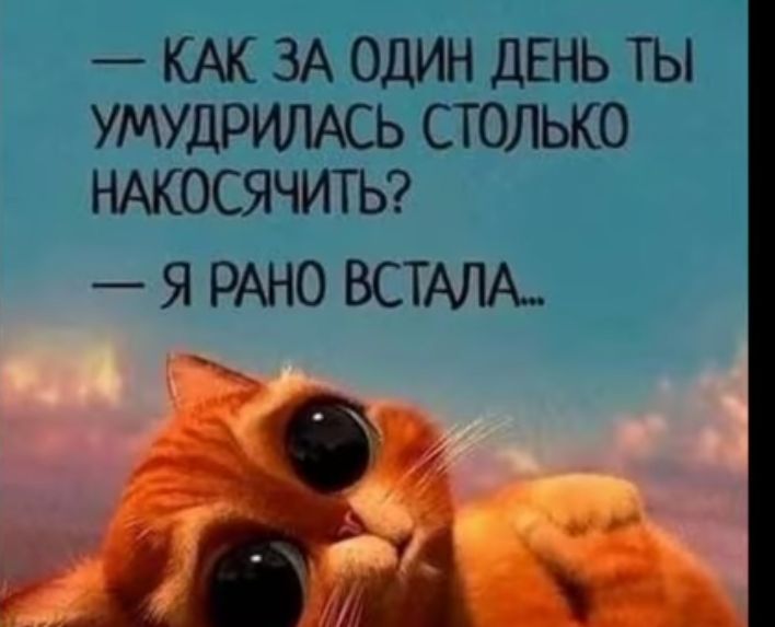 КАК ЗА ОДИН ДЕНЬ ТЫ УМУДРИЛАСЬ СТОЛЬКО НЖОСЯЧИТЬ Я РАНО ВСТАЛА_