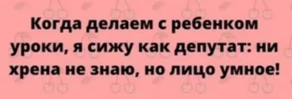 Когда делаем ребенком уроки я сижу как депутет ни хрена не знаю но лицо умное