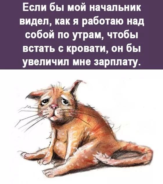 Если бы мой начальник видел как я работаю над собой по утрам чтобы встать с кровати он бы увеличил мне зарплату