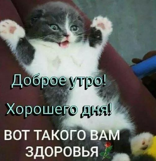 вот ТАКОГО здоровья Г