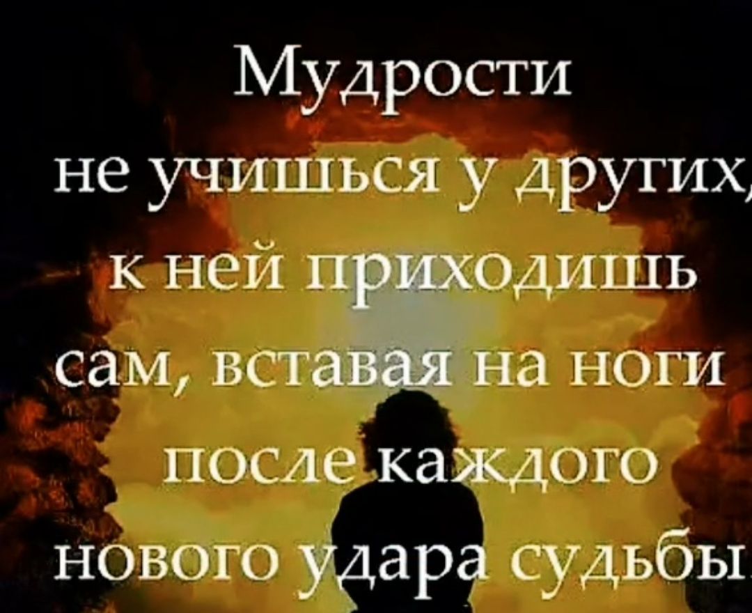 Мудрости не учишься у других к ней одишь сам важна ноги после каждого нового Удара судьбы