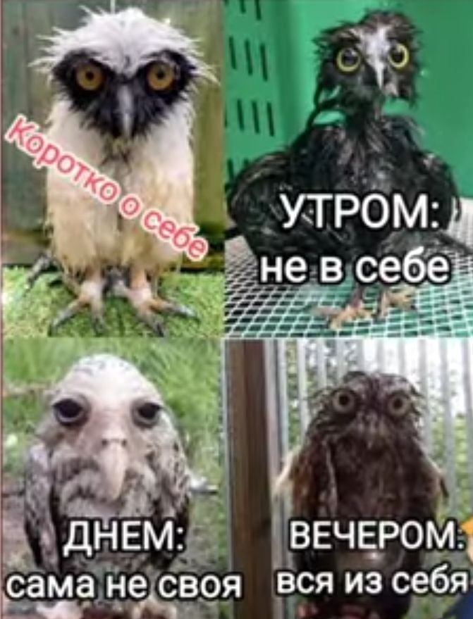 зтвечёромд А Едемё ЕЩЁЁЗЁЁЙ вся из себй