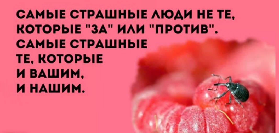 САМЫЕ СТРАШНЫЕ АЮАИ НЕ ТЕ КОТОРЫЕ ЗА ИАИ ПРОТИВ САМЫЕ СТРАШМЫЕ ТЕ КОТОРЫЕ И ВАШИ И НАШИМ