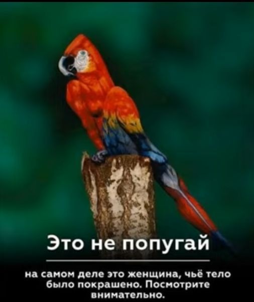 Это не п пугай ид писи дом по х ищиид яи пло было покмшсио Посмотрите ПИНЦЮЛЬИО