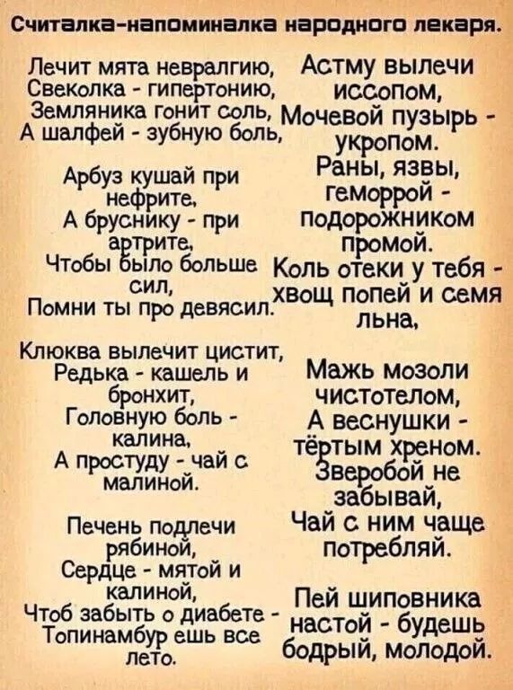 Считалки инициации паромом дикари Лочи1 мята невралгию Астму выпечи Свеколка гипертонию иссопом Земляника ГОНИТ СОЛЬ А шалфей _ зубную боМачевои пузырь Рёкропом ший ны язэы Афееёить Р ГМРРИ А бруснику при подорожникам аггрить промои Чтобы ыло больше Коль отеки у тебя сил хвощ попой и семя Помни ты про девясип льна Клюква ВЫПеЧИТ ЦИСТИТ Редька кашель и Мвжь мозоли броихит чистотелом ГМОЁЁХЁНЭОПЬ А 