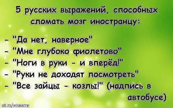 5 русск мышами поездных сломать тезг инвстраПцу да нет ипвгрнае Мне глубоко фиплетвва Ноги в руки и вперёд Руки не доходят ппсмвтрёть Все зайцы козлы иадпиёь в имидже